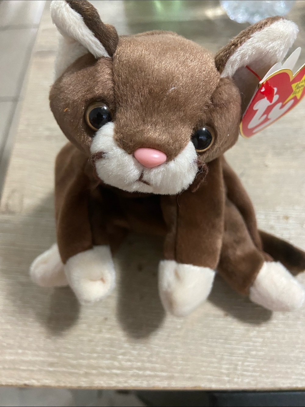 Ty Beanie Babies - POUNCE the Cat - Retired Mint Condition Tags - 1997 Plush Toy